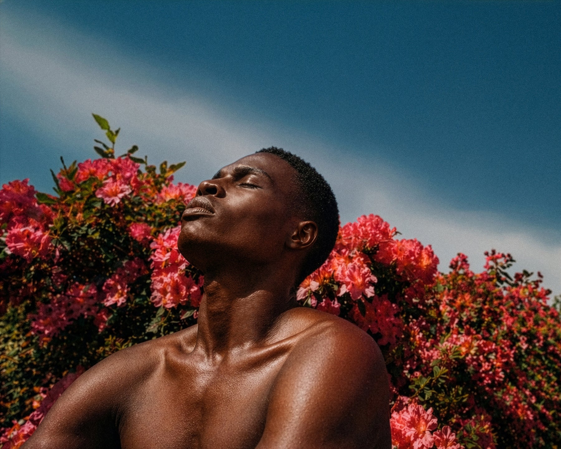 Man standing in front of pink flowers with a clear blue sky for Ancient Meridian Soap | Here & Always