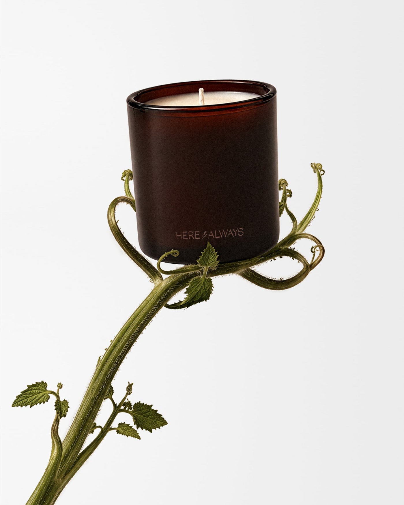 Here & Always Green House Candle Candle | Here & Always